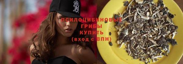 твердый Вязники
