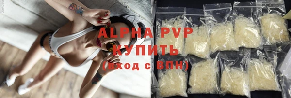 твердый Вяземский
