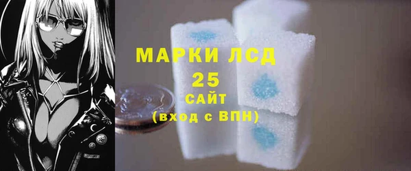 твердый Вяземский