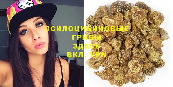 твердый Вязники