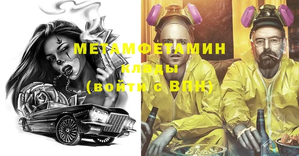 твердый Вяземский