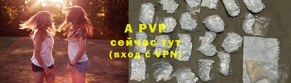 твердый Вяземский