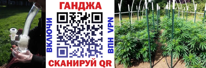 Конопля индика  Купить закладки  Пикалёво 
